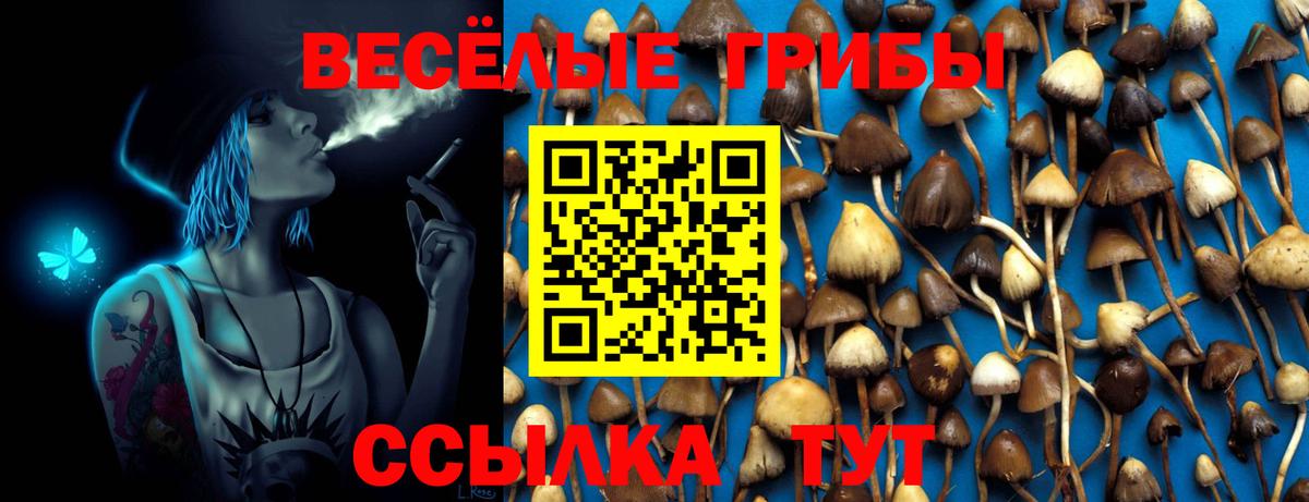 Галлюциногенные грибы MAGIC MUSHROOMS Кызыл